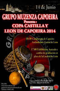 Cartel de la Copa Castilla y León de Capoeira 2014